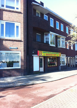 De gouden pot